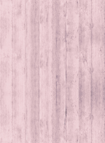 网页版短信攻击